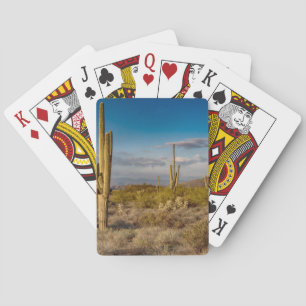 Cactus Sunset in Arizona Poker Cards