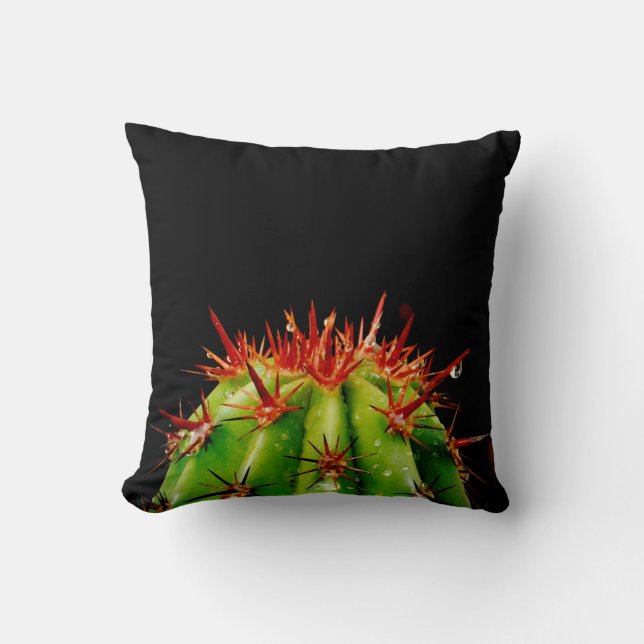 Cactus Throw Pillow (Front)