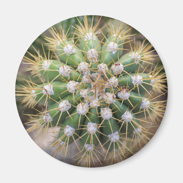 Cactus Top Magnet (Front)