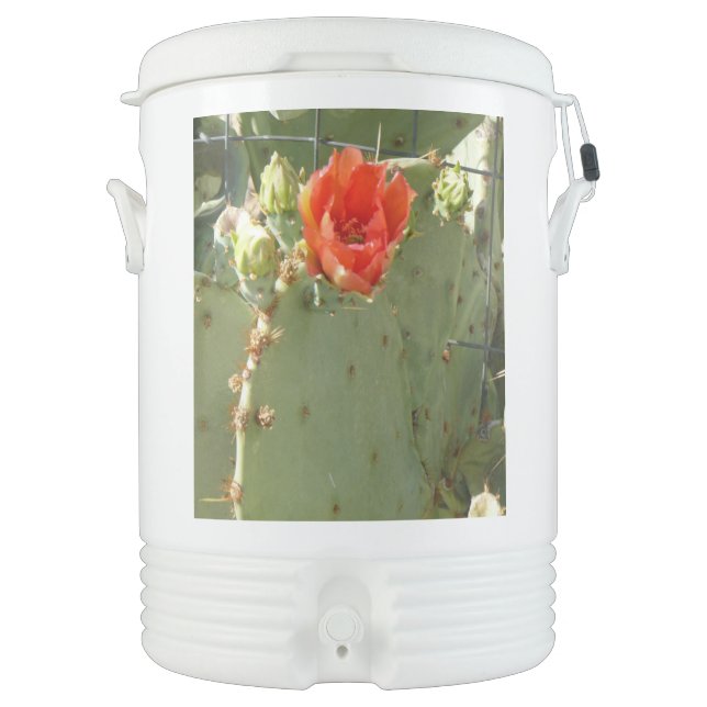 Cactus Tough and Beautiful Igloo beverage cooler (Front)