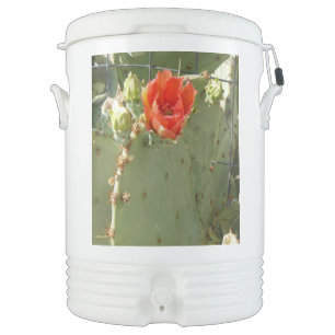 Cactus Tough and Beautiful Igloo beverage cooler