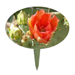 Cactus Tough and Beautiful oval cake picks