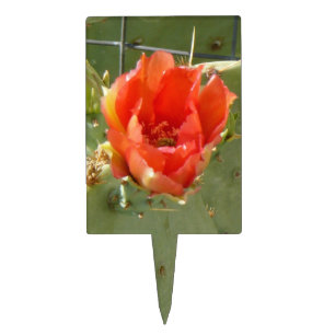 Cactus Tough and Beautiful rectangle cake picks