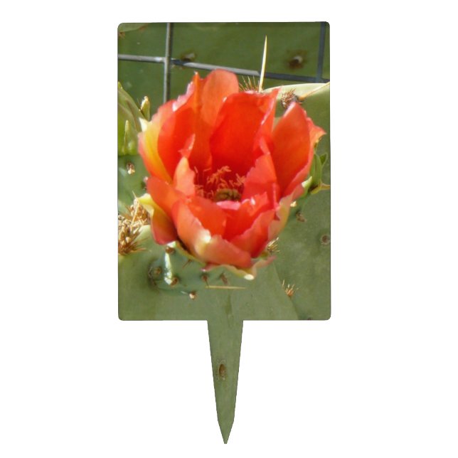 Cactus Tough and Beautiful rectangle cake picks (Front)