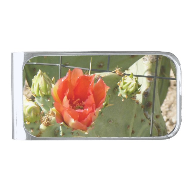 Cactus Tough and Beautiful silver money clip (Front)