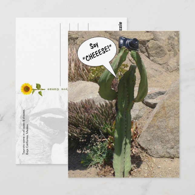 Cactus Tourist, Say CHEEESE - postcard (Front/Back)