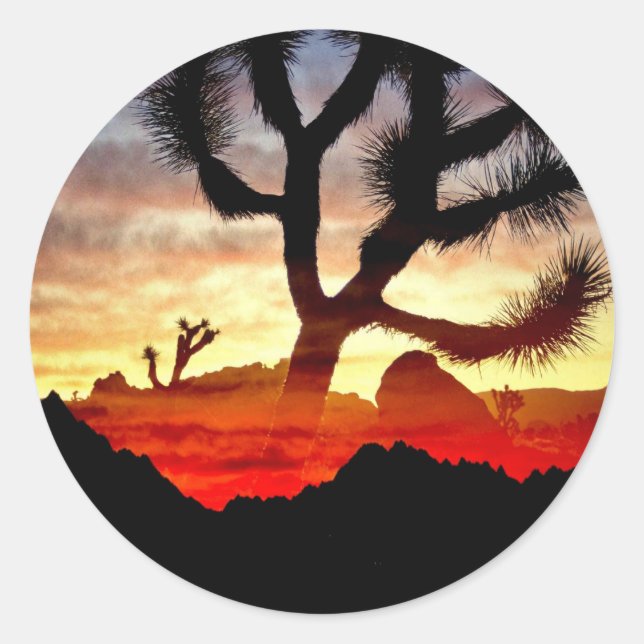 cactus vision classic round sticker (Front)