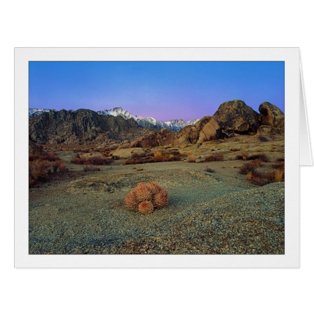"Cactus With A View" - Wide Angle Cards (Front Horizontal)