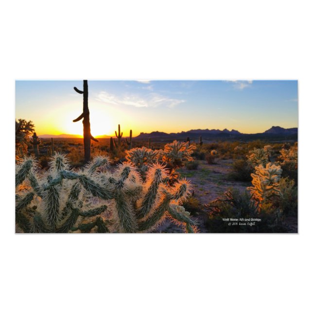Cactus with Arizona sunset Superstition Wilderness Photo Print (Front)
