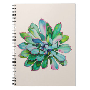 Cactus with pink tipped leaves oil painting notebook