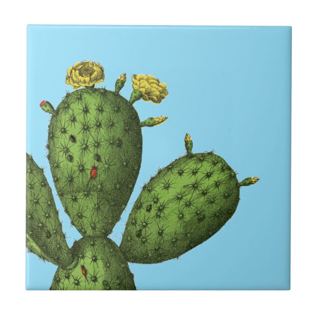 Cactus with Yellow Flowers Ceramic Tile (Front)