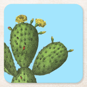Cactus with Yellow Flowers Square Paper Coaster
