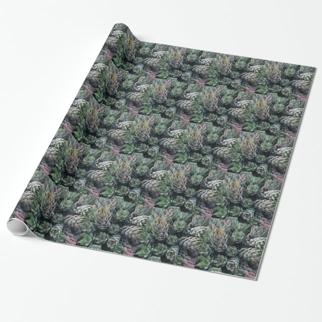 Cactus Wrapping Paper (Unrolled)