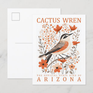 Cactus Wren Bird of Arizona USA Travel Postcard