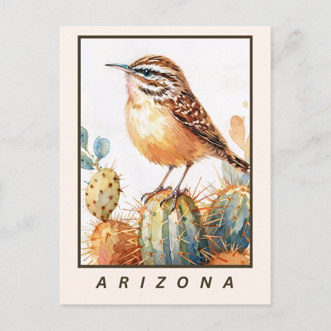Cactus Wren Desert Bird Arizona State Postcard (Front)