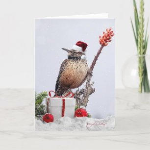 Cactus Wren in Ocotillo 5x7 Christmas Blank Card 