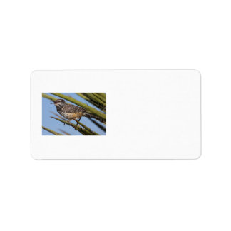 Cactus Wren Label
