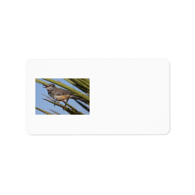 Cactus Wren Label (Front)