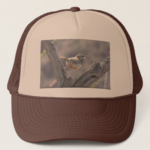 Cactus Wren Straddling an Old Tree Trucker Hat