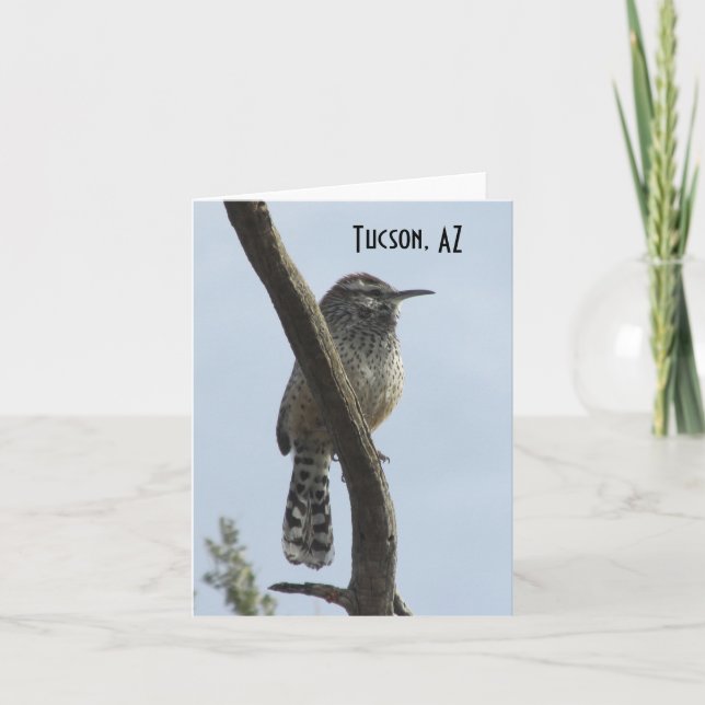 Cactus Wren Tucson Arizona Card (Front)