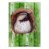 Cactus Wren Watching (Front)