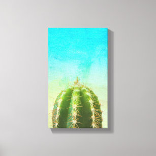 Cactus Zen Canvas Print