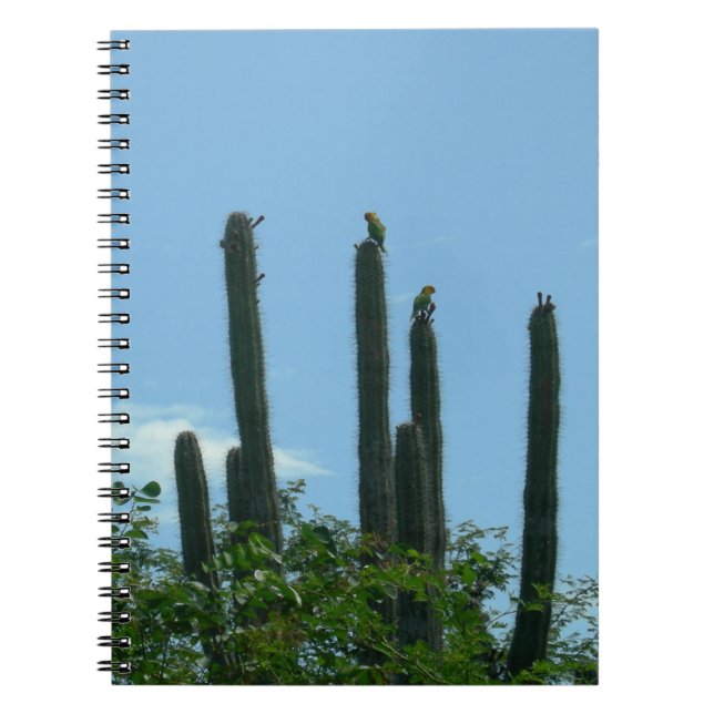 Cactuses with Lorikeets Bonaire Notebook (Front)