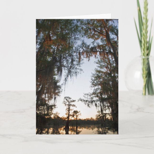 Caddo Lake at sunrise Card (Front)