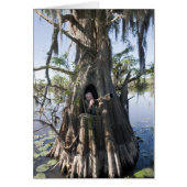 Caddo Lake, hunting blind (Front)