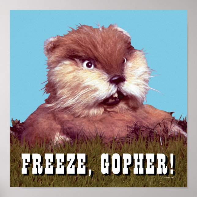 Caddyshack | Freeze, Gopher! Poster (Front)
