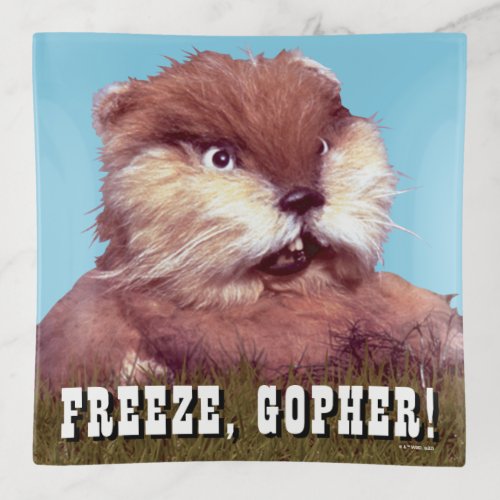 Caddyshack | Freeze, Gopher!