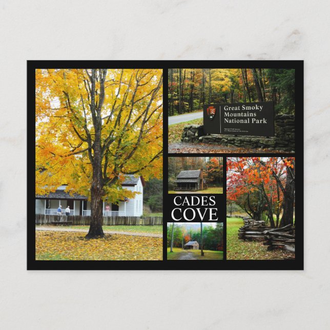 Cades Cove - Autumn Colors Photo Collage Postcard (Front)