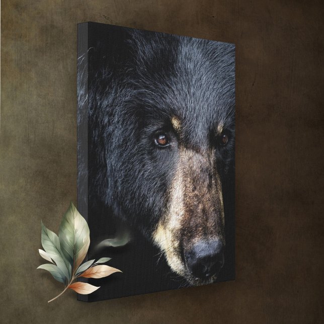 Cades Cove Black Bear Canvas Print (Creator Uploaded)