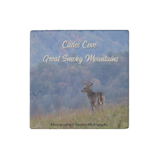 Cades Cove Deer - Great Smoky Mountains  Stone Magnet