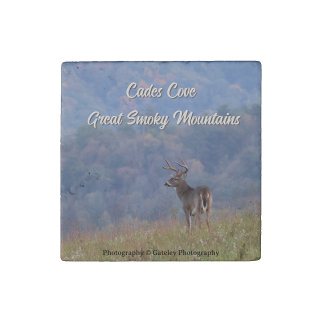Cades Cove Deer - Great Smoky Mountains  Stone Magnet (Front)