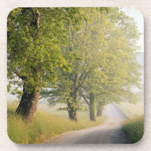 Cades Cove Great Smokey Mountains, TN Drink Coaster