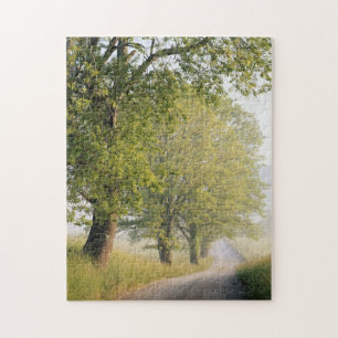 Cades Cove Great Smokey Mountains, TN Jigsaw Puzzle