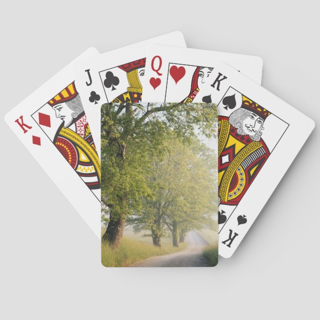 Cades Cove | Great Smokey Mountains, TN Poker Cards (Back)