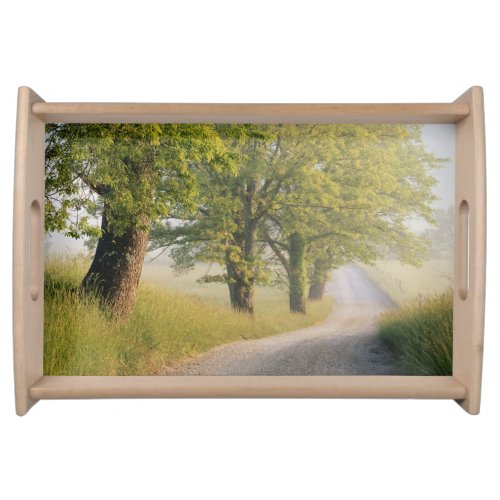 Cades Cove  Great Smokey Mountains TN Serving Tray