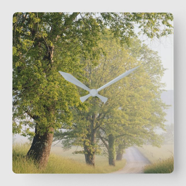 Cades Cove | Great Smokey Mountains, TN Square Wall Clock (Front)