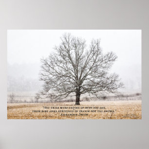 Cades Cove in the Snow Poster
