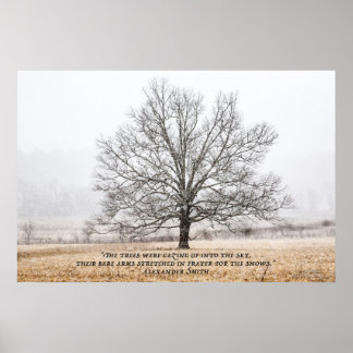 Cades Cove in the Snow Poster