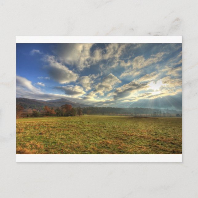 Cades Cove Morning Sun Rays Postcard (Front)