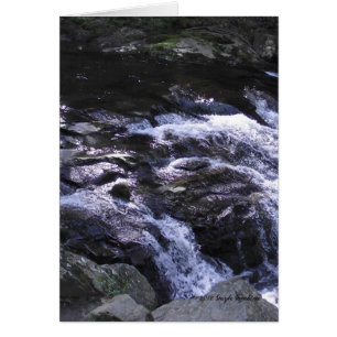 Cades Cove mountain stream