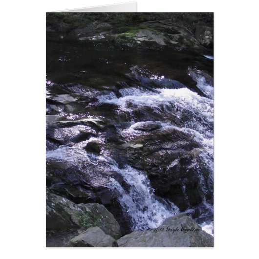 Cades Cove mountain stream Cards (Front)