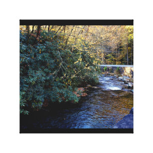 Cades Cove River Smoky Mountains Canvas Print