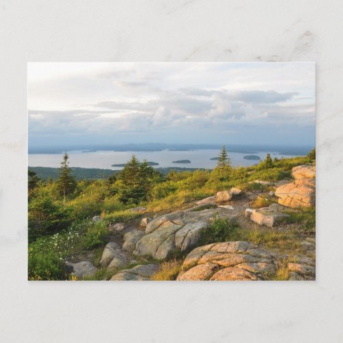 Cadillac Mountain Acadia National Park Postcard