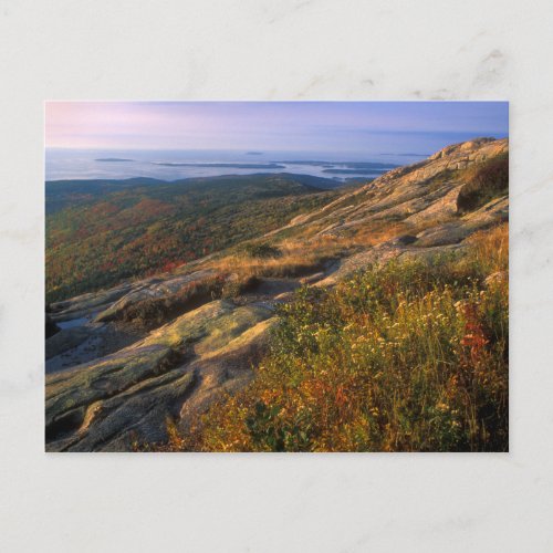 Cadillac Mountain Acadia National Park Postcard