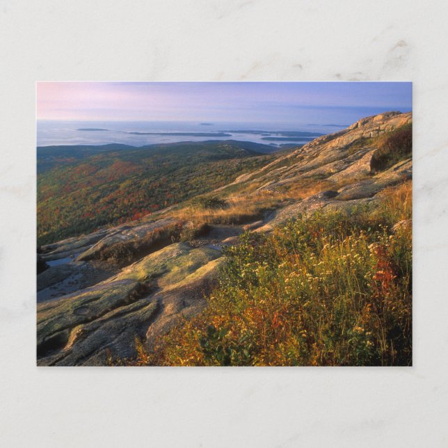Cadillac Mountain Acadia National Park Postcard (Front)
