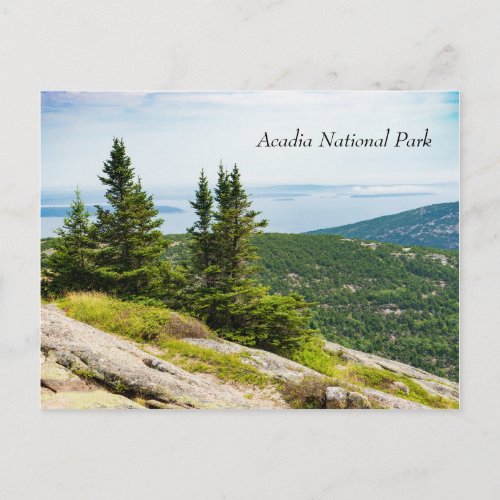 Cadillac Mountain in Acadia National Park in Maine Postcard